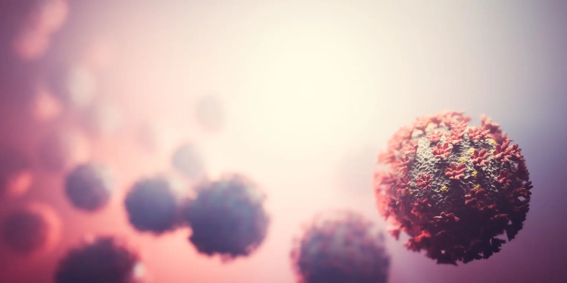 Pathogen Portal